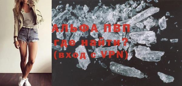 прущие грибы Михайловка