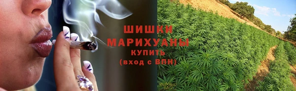 сатива Балабаново